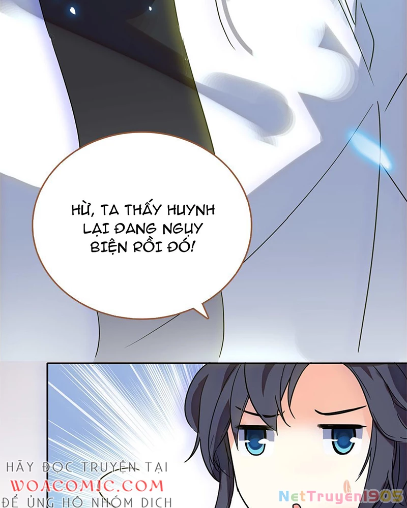Sở Lưu Hương Truyền Kỳ Chapter 1 - Trang 2