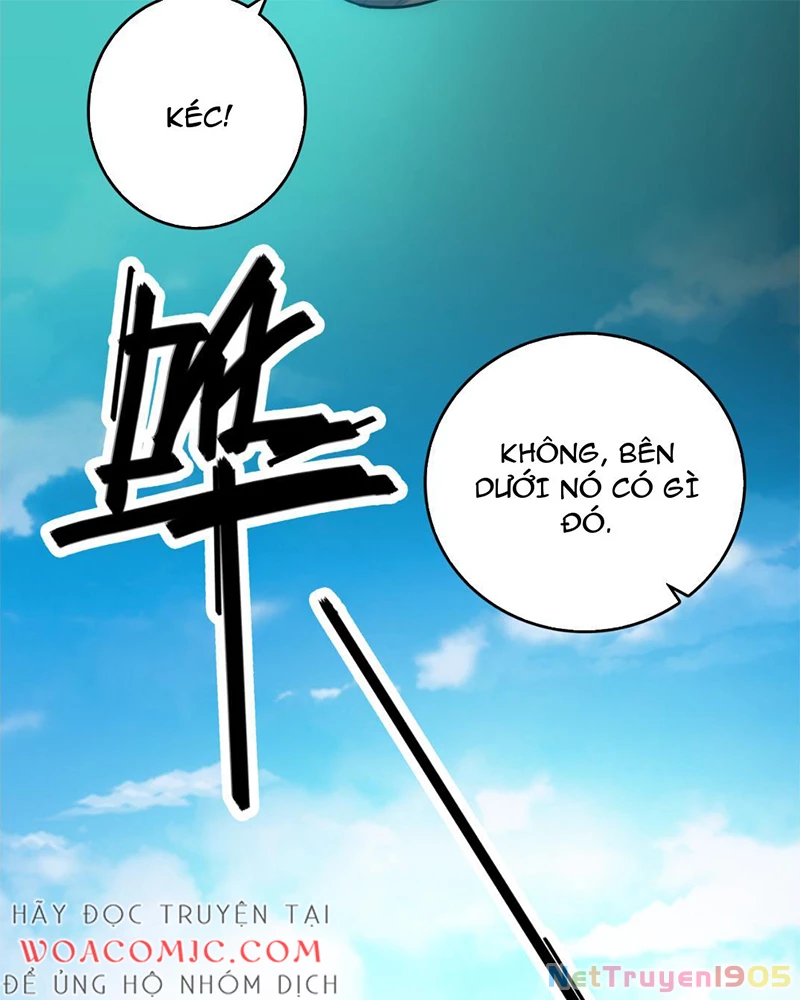 Sở Lưu Hương Truyền Kỳ Chapter 1 - Trang 2