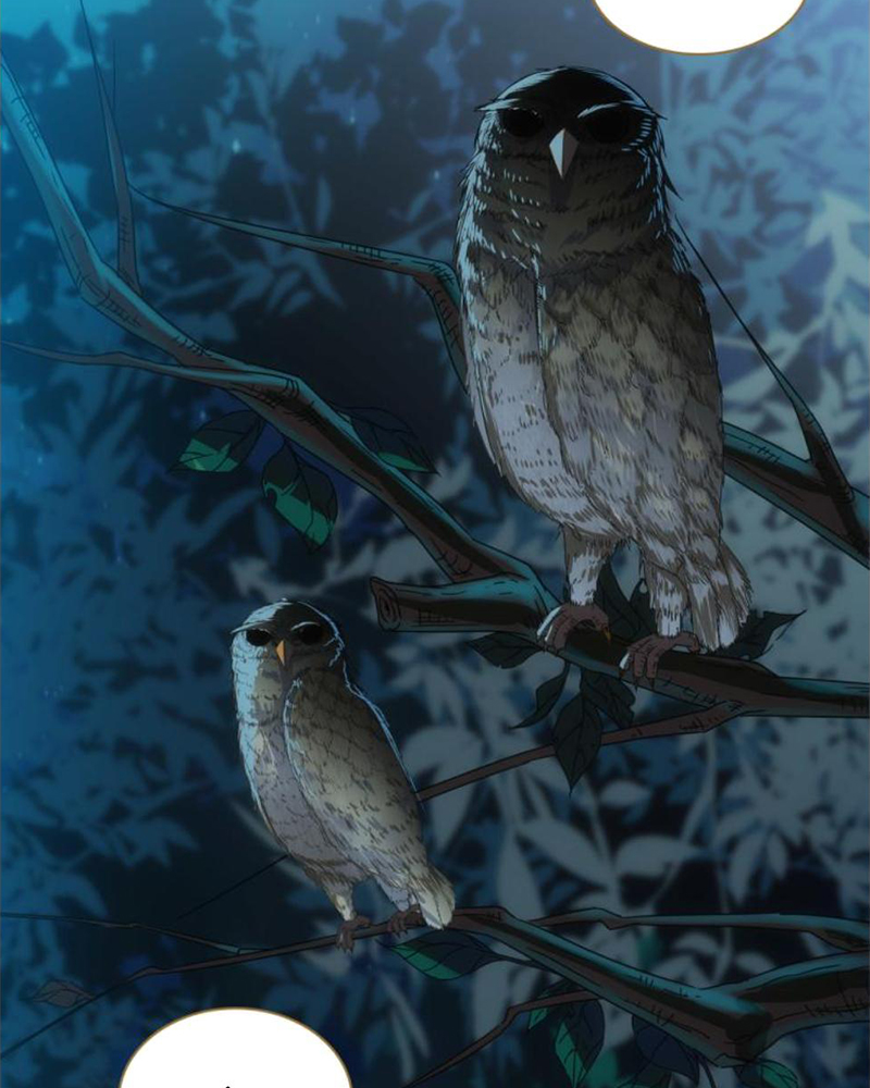 Sở Lưu Hương Truyền Kỳ Chapter 10 - Trang 2