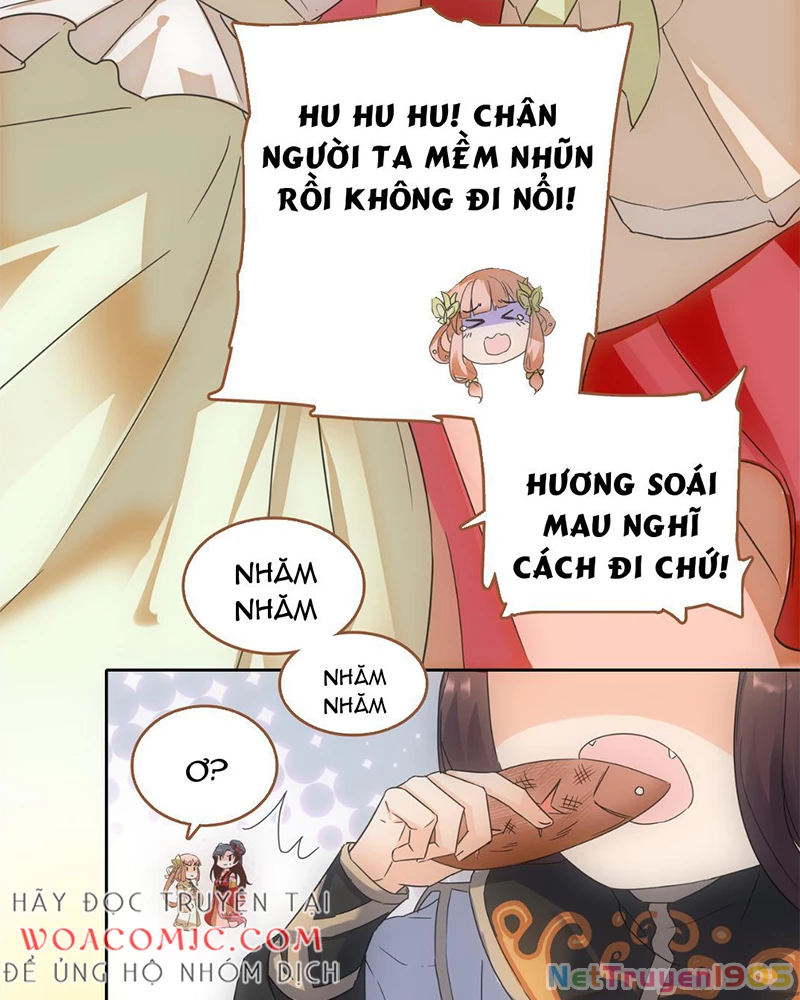 Sở Lưu Hương Truyền Kỳ Chapter 2 - Trang 2