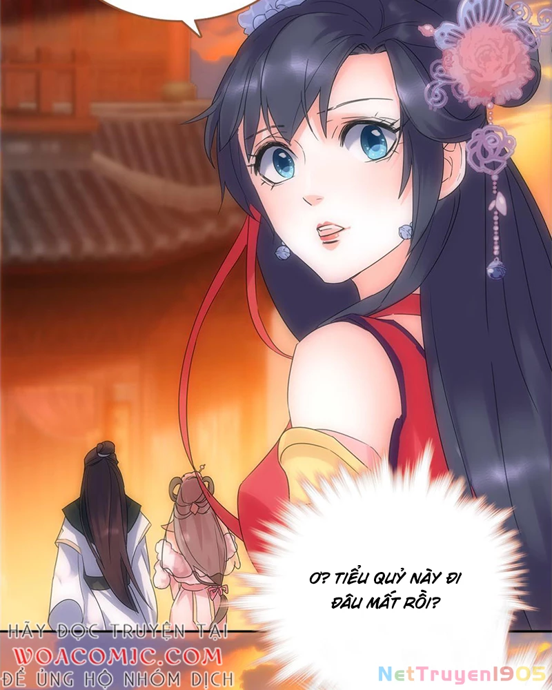 Sở Lưu Hương Truyền Kỳ Chapter 3 - Trang 2