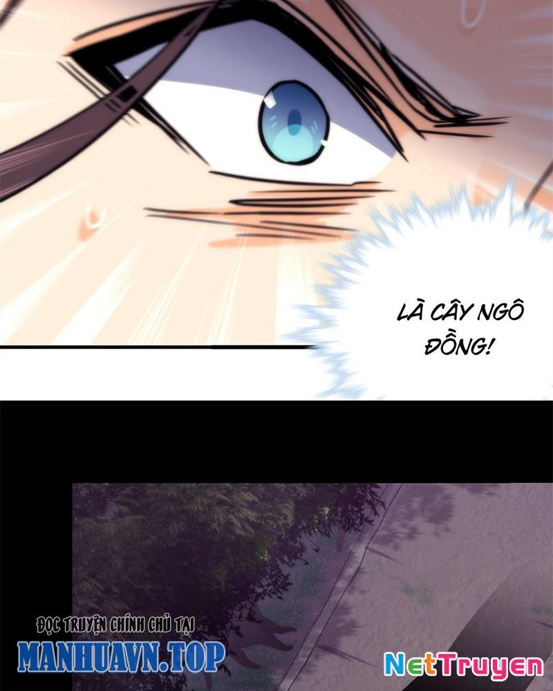 Sở Lưu Hương Truyền Kỳ Chapter 33 - Trang 2