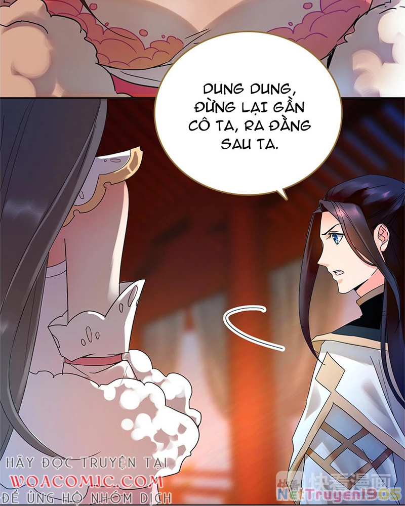 Sở Lưu Hương Truyền Kỳ Chapter 4 - Trang 2