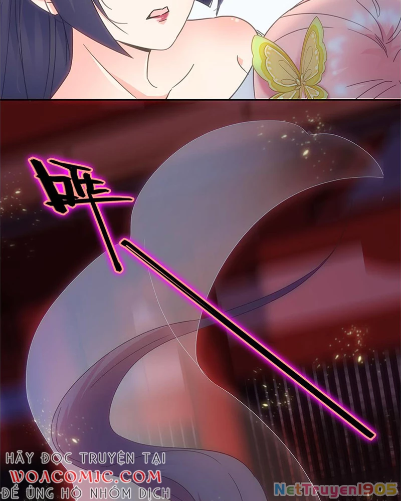 Sở Lưu Hương Truyền Kỳ Chapter 5 - Trang 2