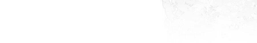 Sổ Tay Nuôi Dưỡng Rồng Chapter 12 - Trang 2