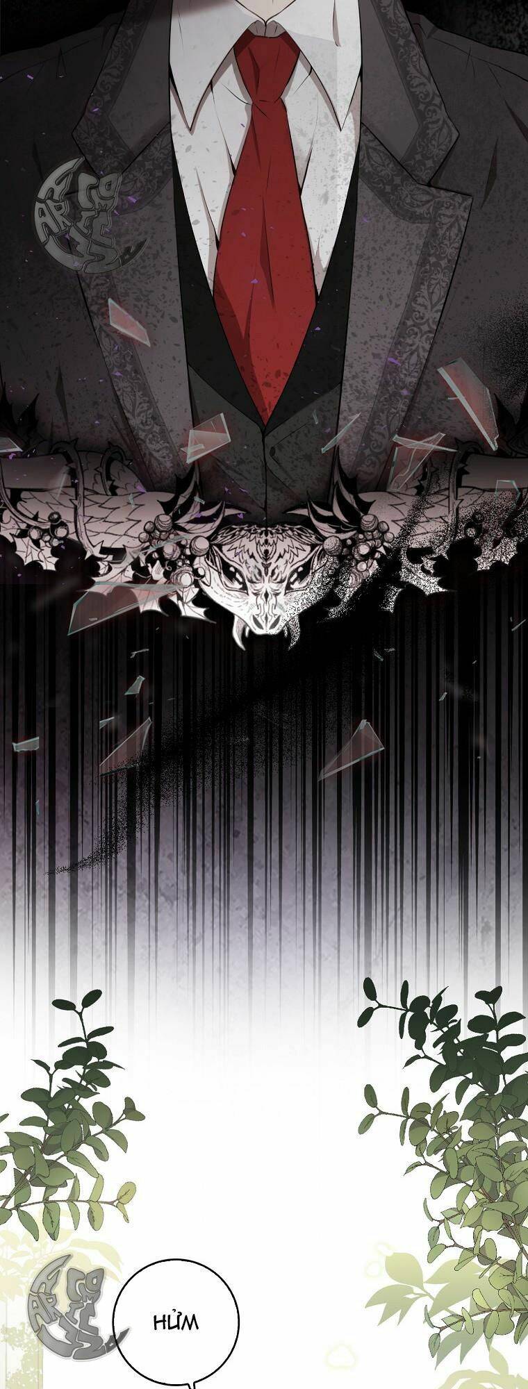 Sóc Con Tài Năng Chapter 1 - Trang 2