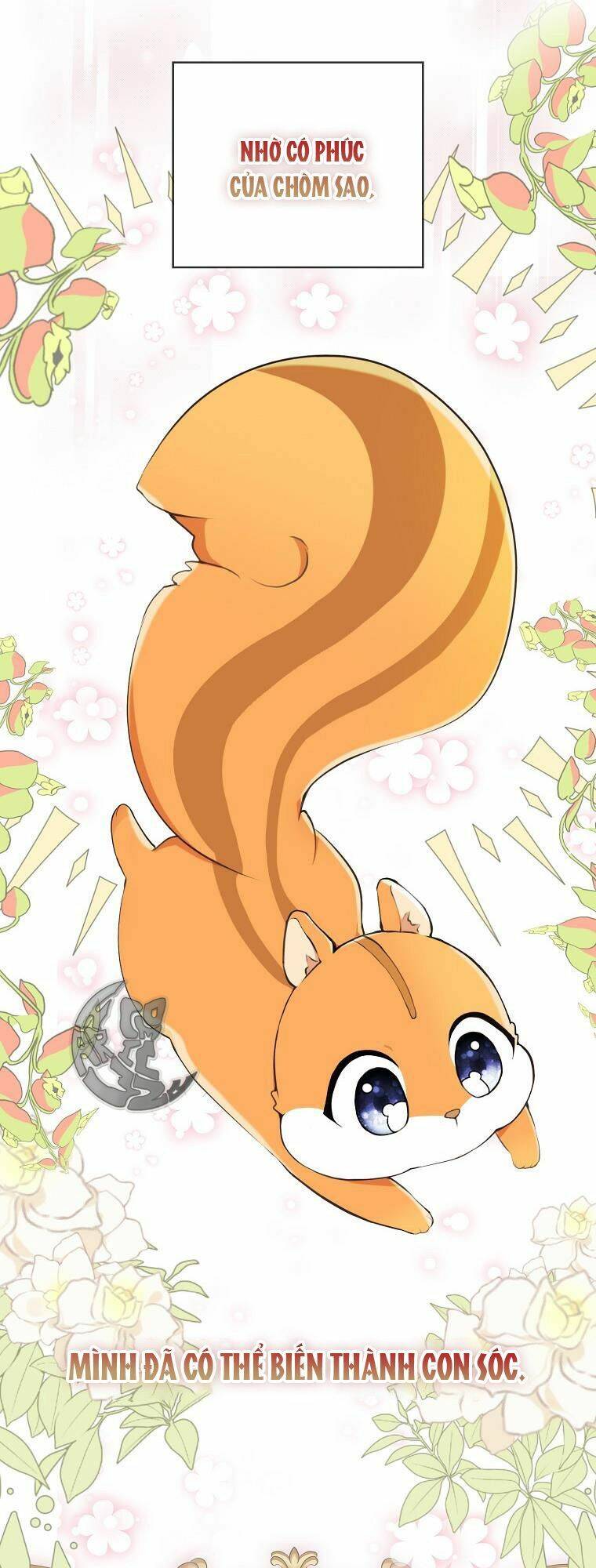 Sóc Con Tài Năng Chapter 1 - Trang 2