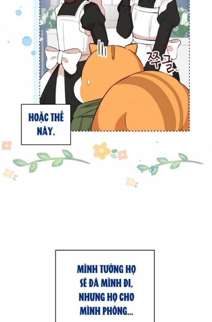 Sóc Con Tài Năng Chapter 10 - Trang 2