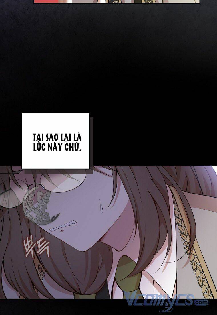 Sóc Con Tài Năng Chapter 11 - Trang 2