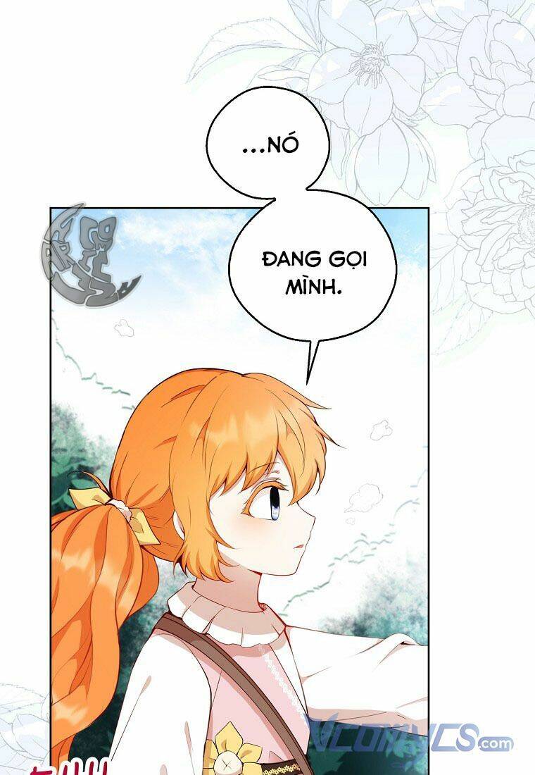 Sóc Con Tài Năng Chapter 12 - Trang 2