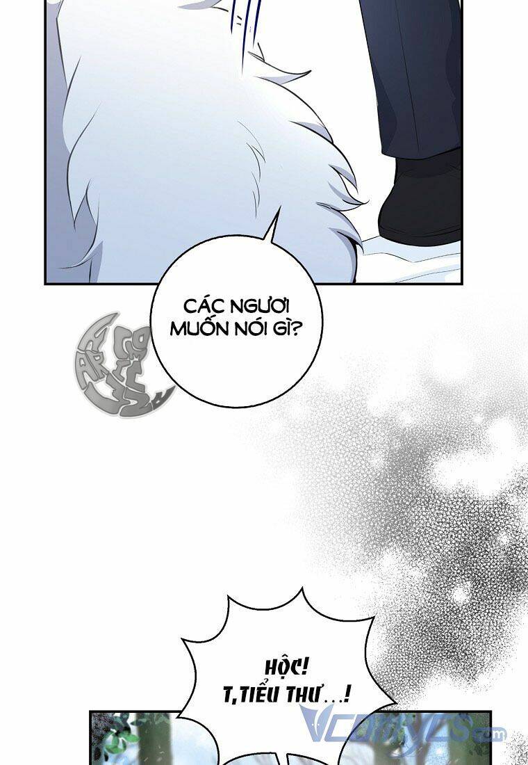 Sóc Con Tài Năng Chapter 13 - Trang 2