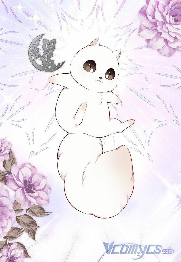 Sóc Con Tài Năng Chapter 13 - Trang 2