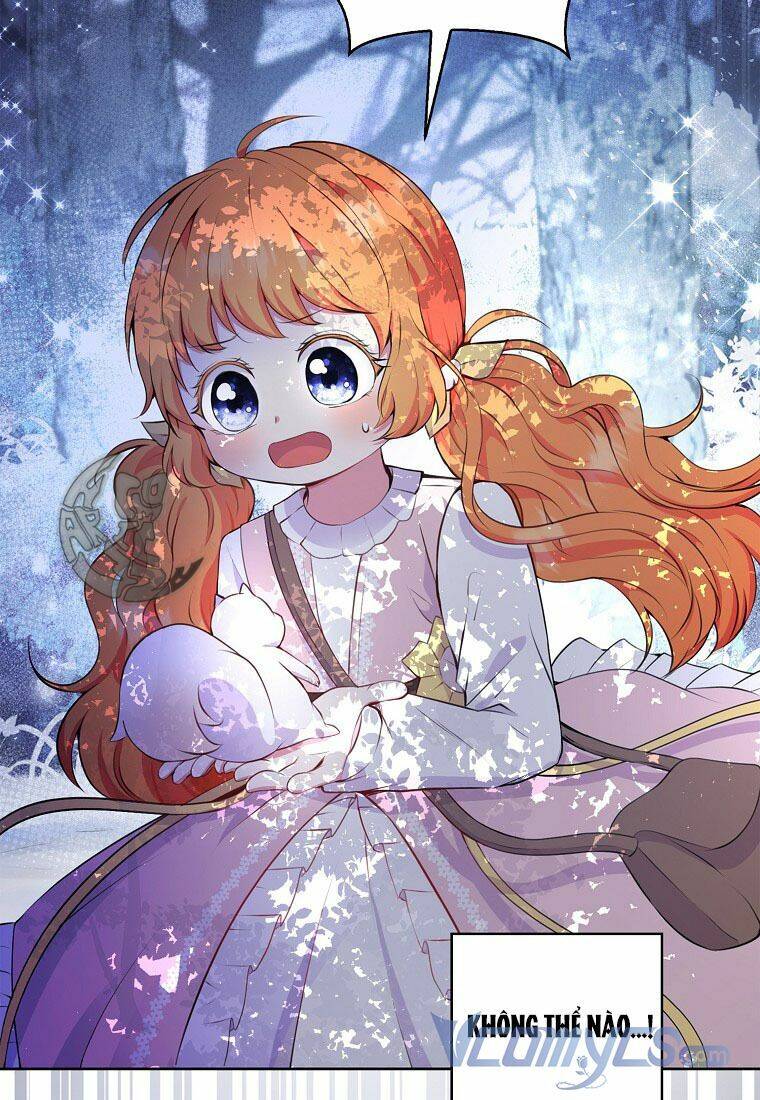 Sóc Con Tài Năng Chapter 13 - Trang 2