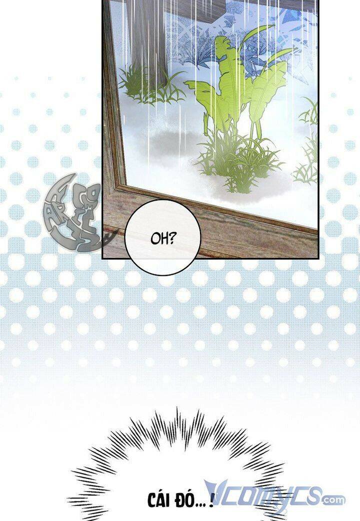 Sóc Con Tài Năng Chapter 15 - Trang 2