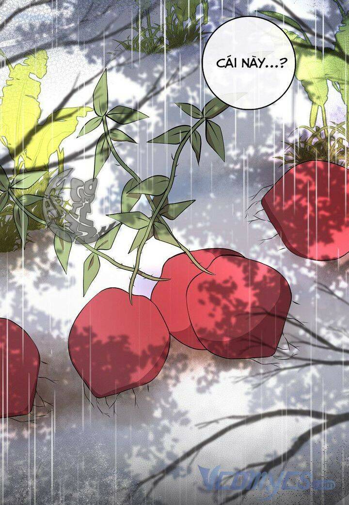 Sóc Con Tài Năng Chapter 15 - Trang 2