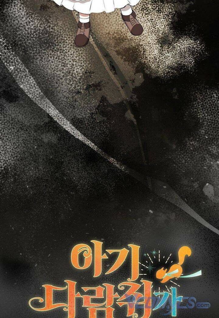 Sóc Con Tài Năng Chapter 15 - Trang 2