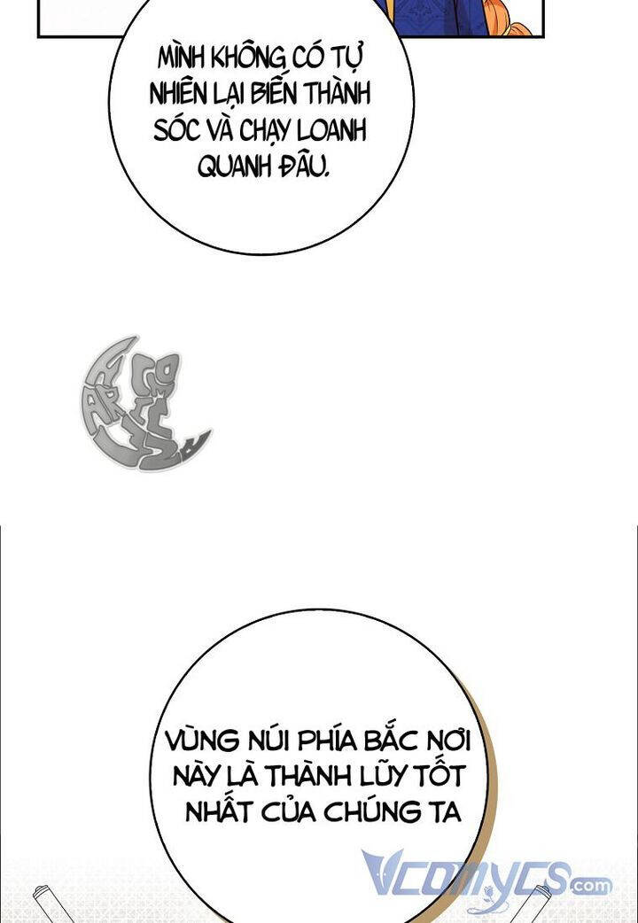 Sóc Con Tài Năng Chapter 18 - Trang 2