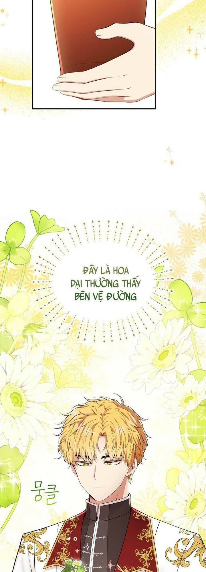 Sóc Con Tài Năng Chapter 19 - Trang 2