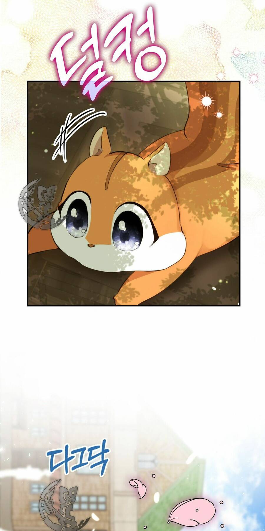 Sóc Con Tài Năng Chapter 2 - Trang 2