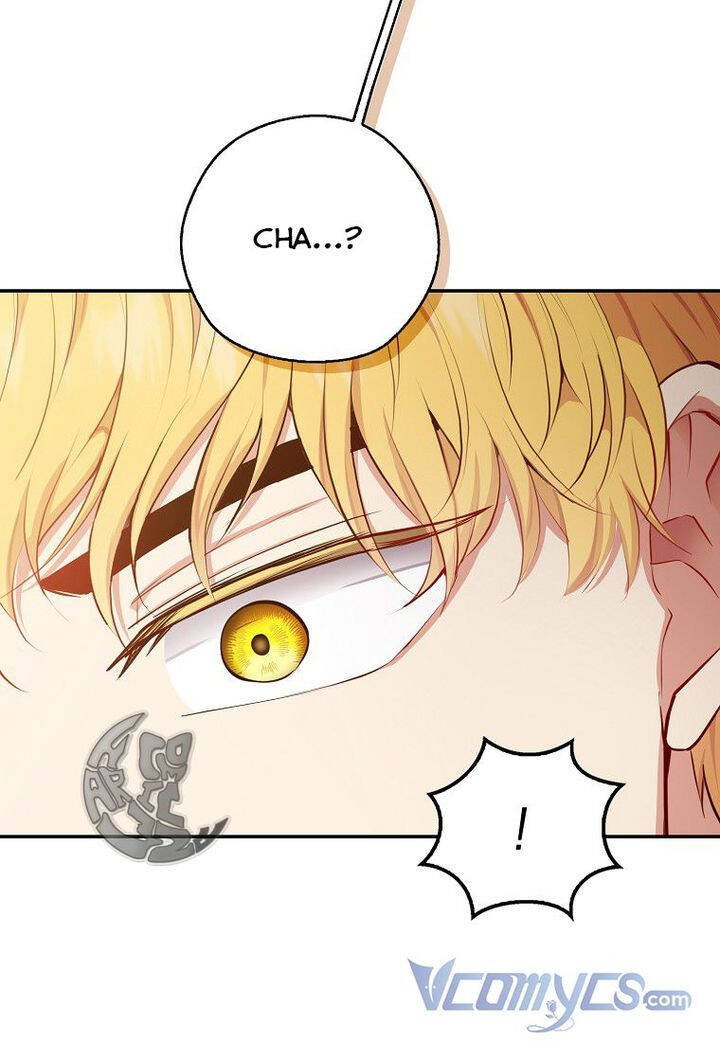 Sóc Con Tài Năng Chapter 21 - Trang 2