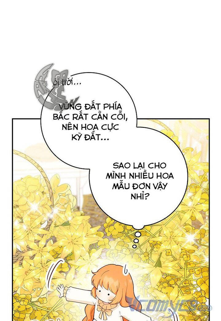 Sóc Con Tài Năng Chapter 21 - Trang 2