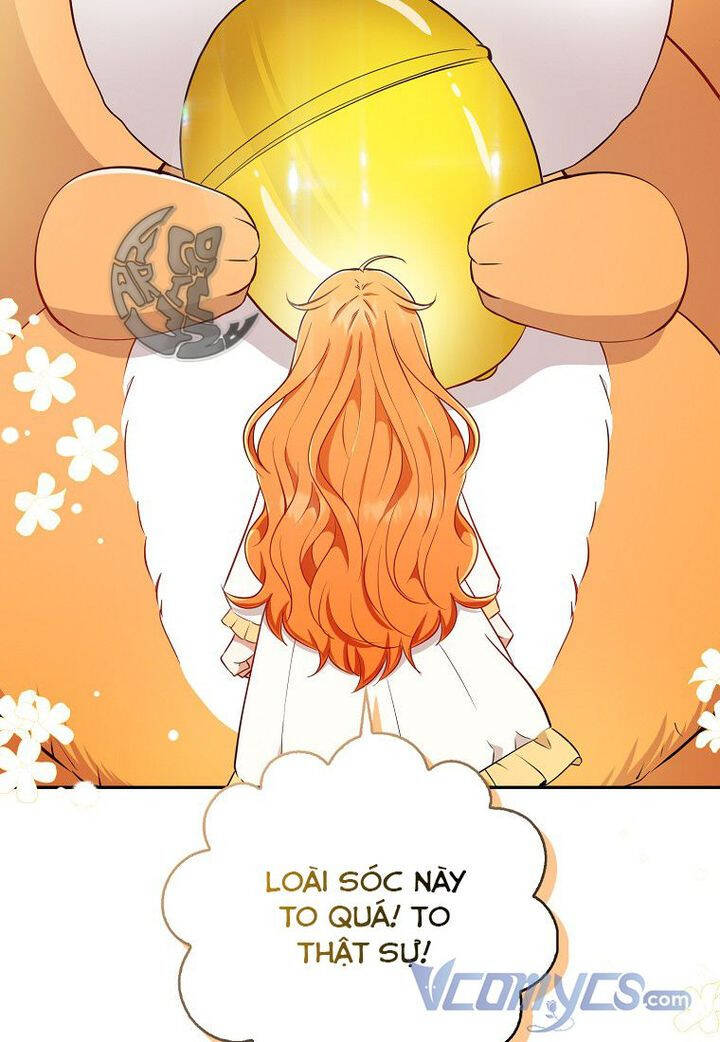 Sóc Con Tài Năng Chapter 21 - Trang 2