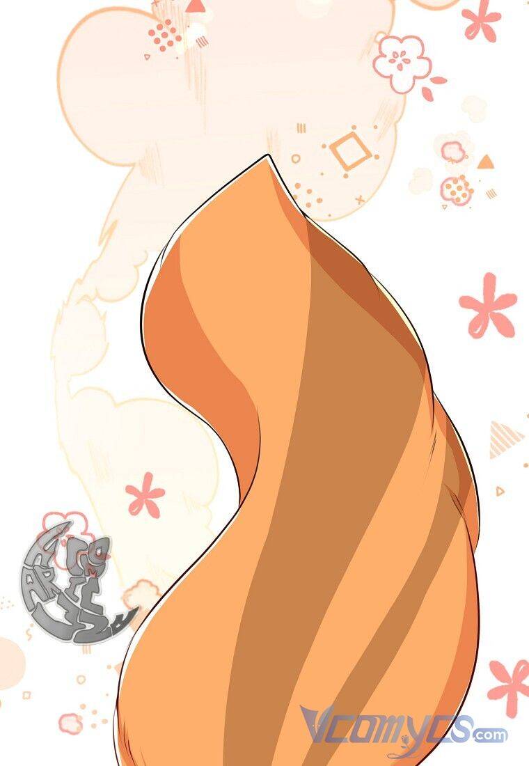 Sóc Con Tài Năng Chapter 22 - Trang 2