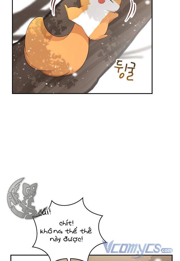 Sóc Con Tài Năng Chapter 22 - Trang 2