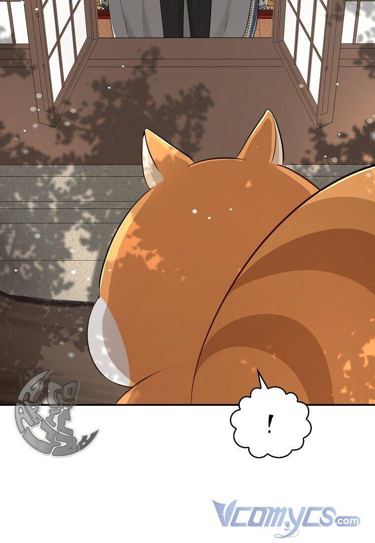 Sóc Con Tài Năng Chapter 22 - Trang 2