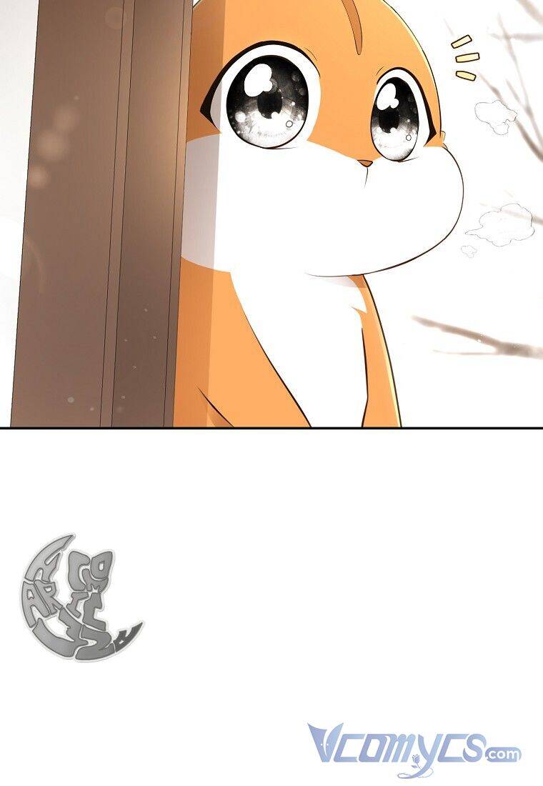 Sóc Con Tài Năng Chapter 22 - Trang 2