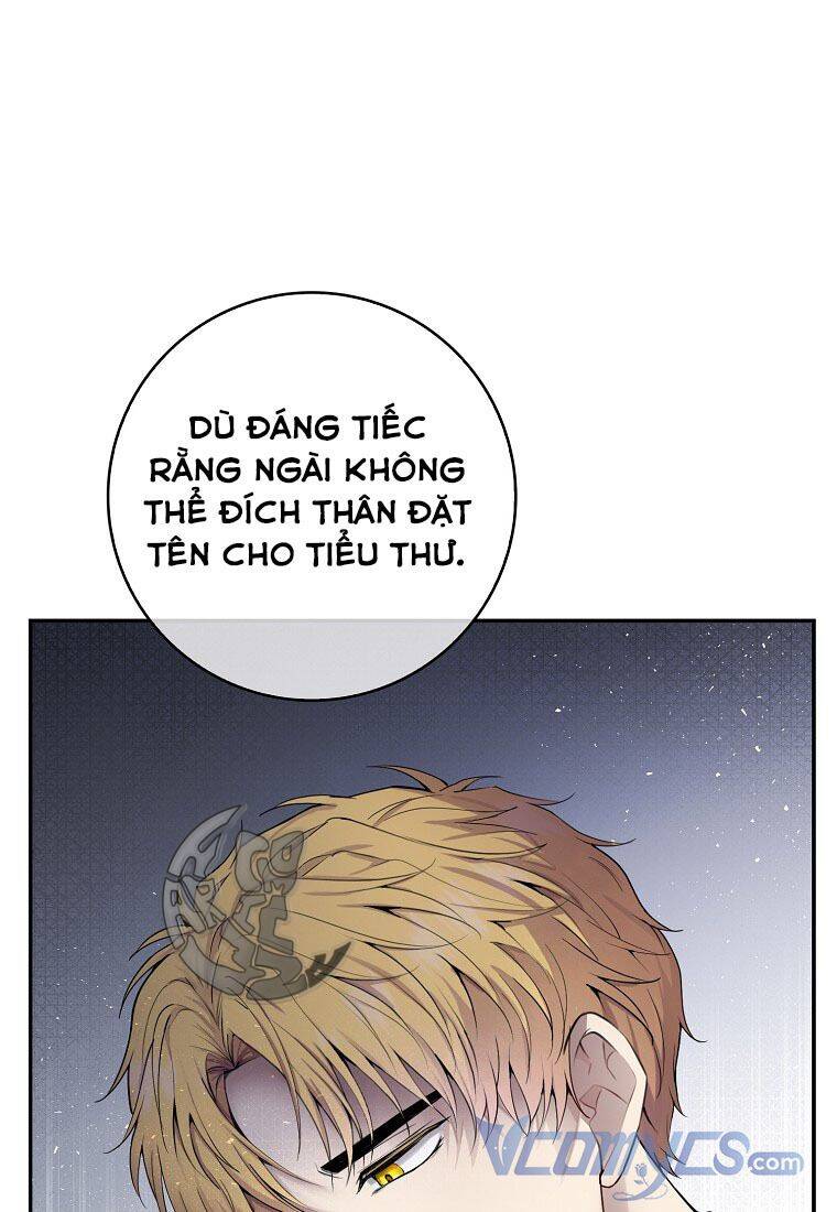 Sóc Con Tài Năng Chapter 22 - Trang 2