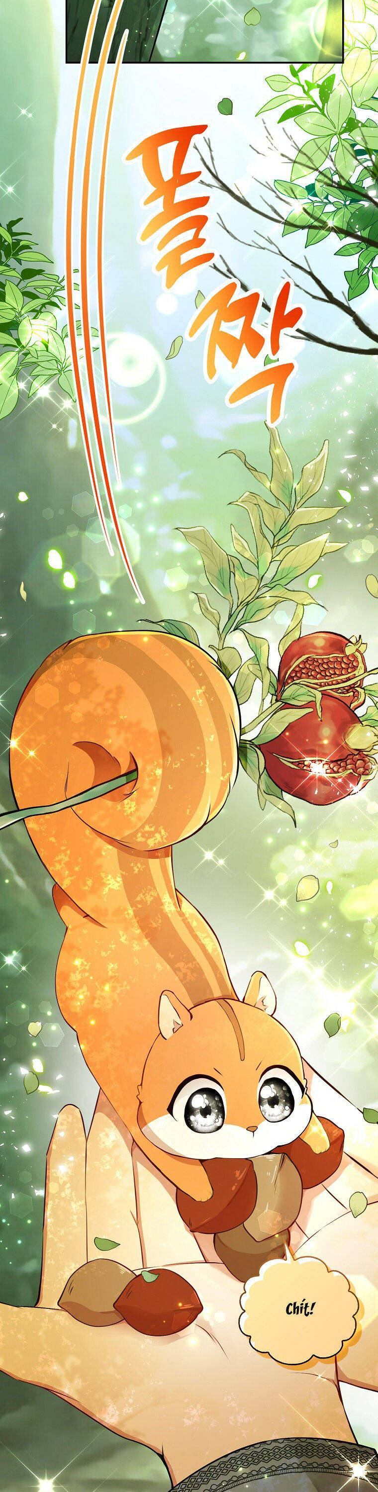 Sóc Con Tài Năng Chapter 29 - Trang 2