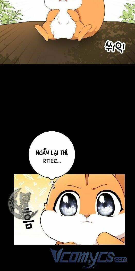 Sóc Con Tài Năng Chapter 3 - Trang 2