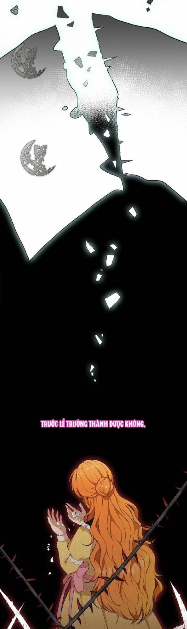 Sóc Con Tài Năng Chapter 3 - Trang 2