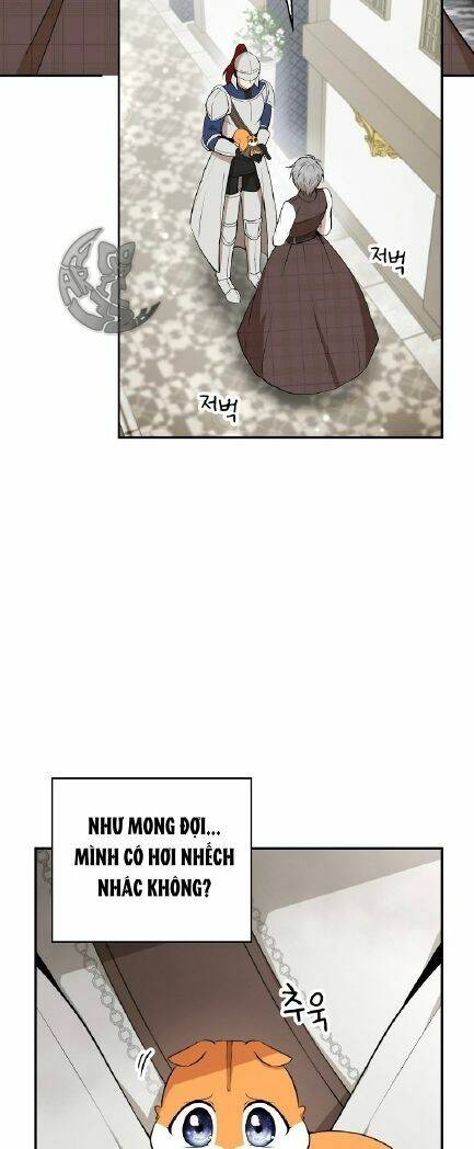 Sóc Con Tài Năng Chapter 3 - Trang 2