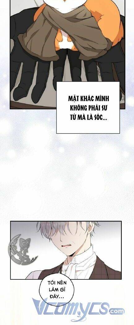 Sóc Con Tài Năng Chapter 3 - Trang 2