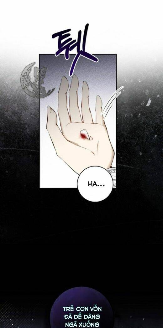 Sóc Con Tài Năng Chapter 3 - Trang 2