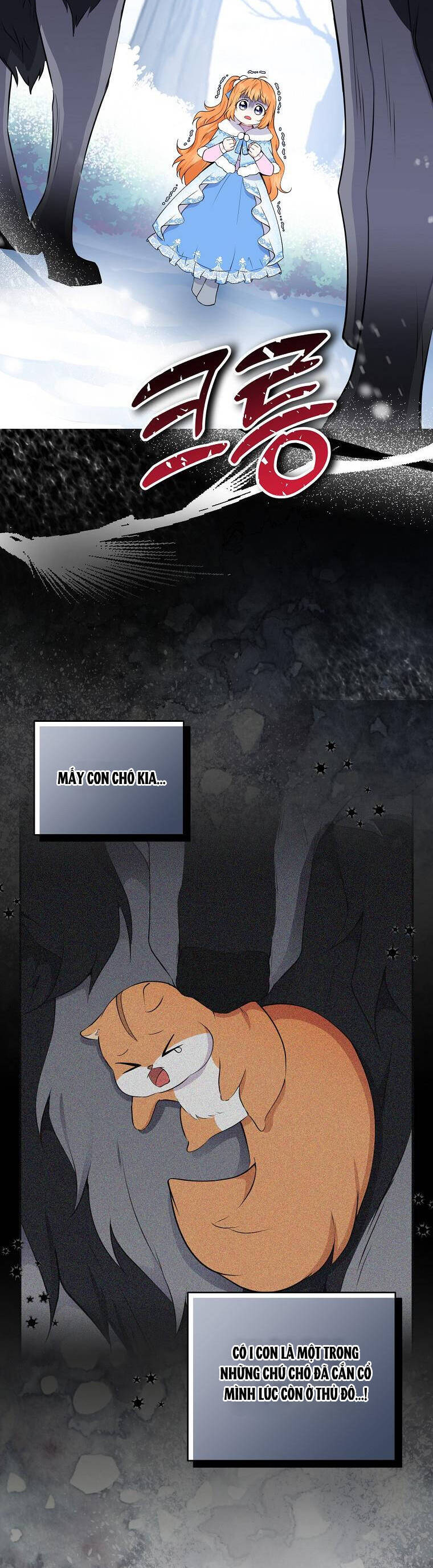 Sóc Con Tài Năng Chapter 30 - Trang 2