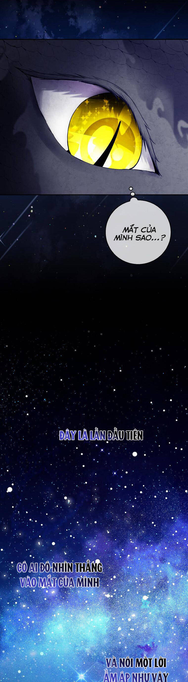 Sóc Con Tài Năng Chapter 31 - Trang 2