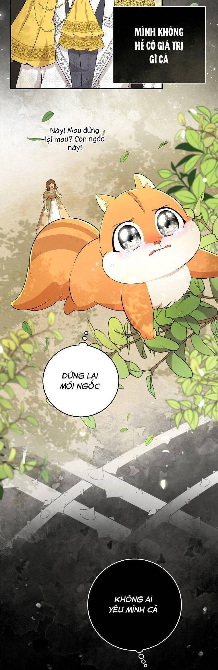 Sóc Con Tài Năng Chapter 36 - Trang 2