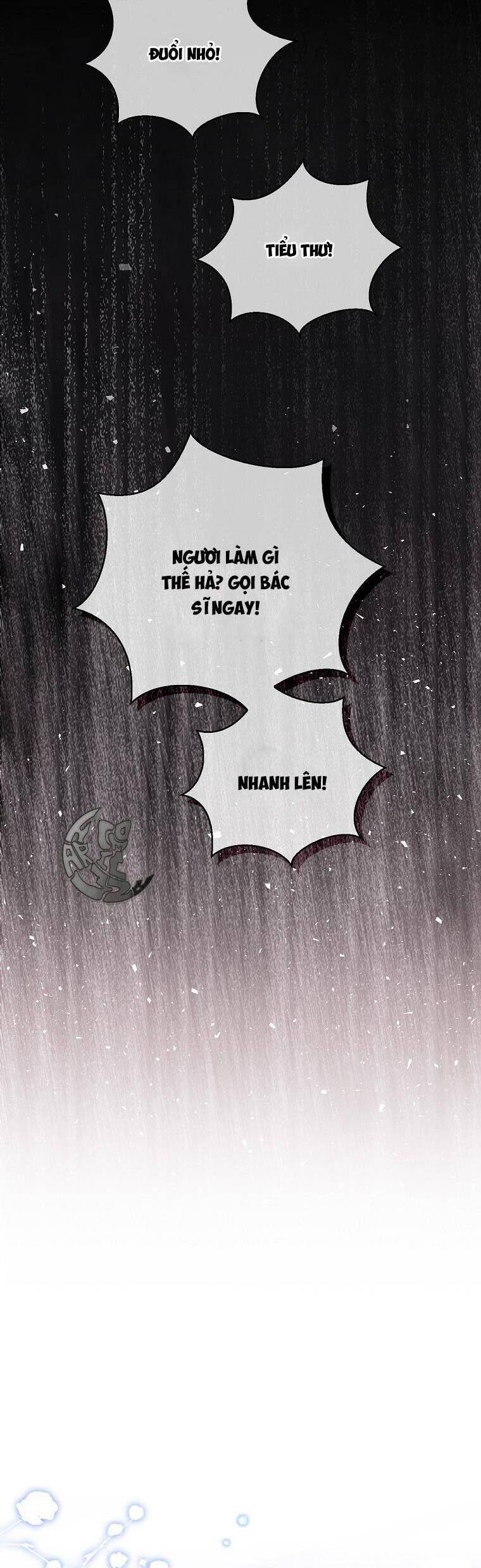 Sóc Con Tài Năng Chapter 37 - Trang 2