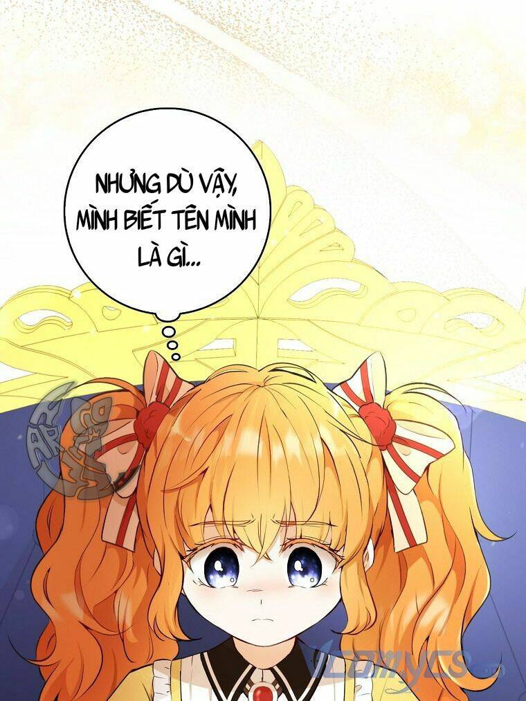 Sóc Con Tài Năng Chapter 4 - Trang 2