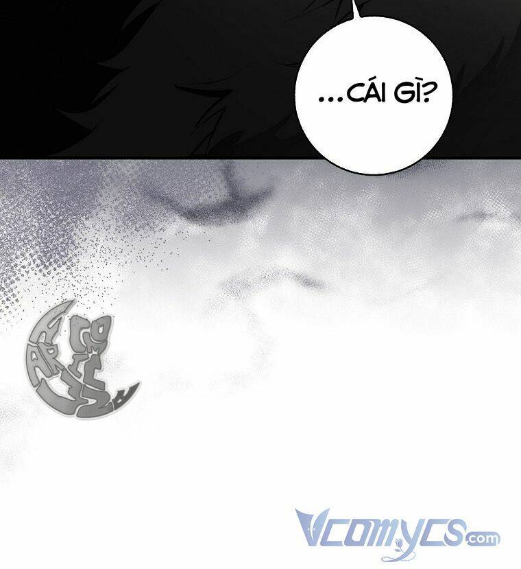 Sóc Con Tài Năng Chapter 4 - Trang 2