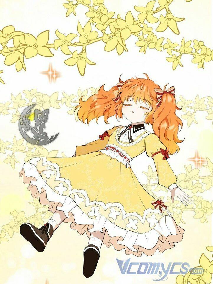 Sóc Con Tài Năng Chapter 4 - Trang 2