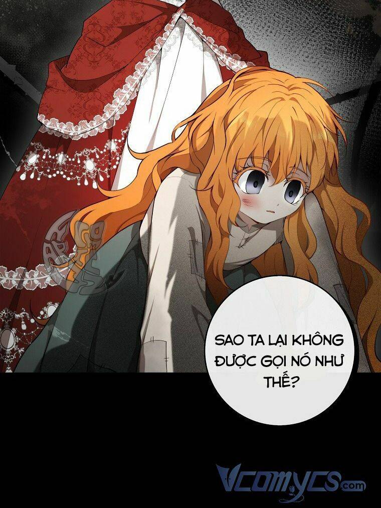 Sóc Con Tài Năng Chapter 4 - Trang 2