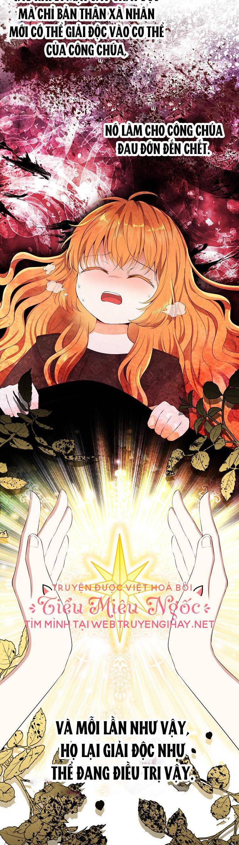 Sóc Con Tài Năng Chapter 41 - Trang 2