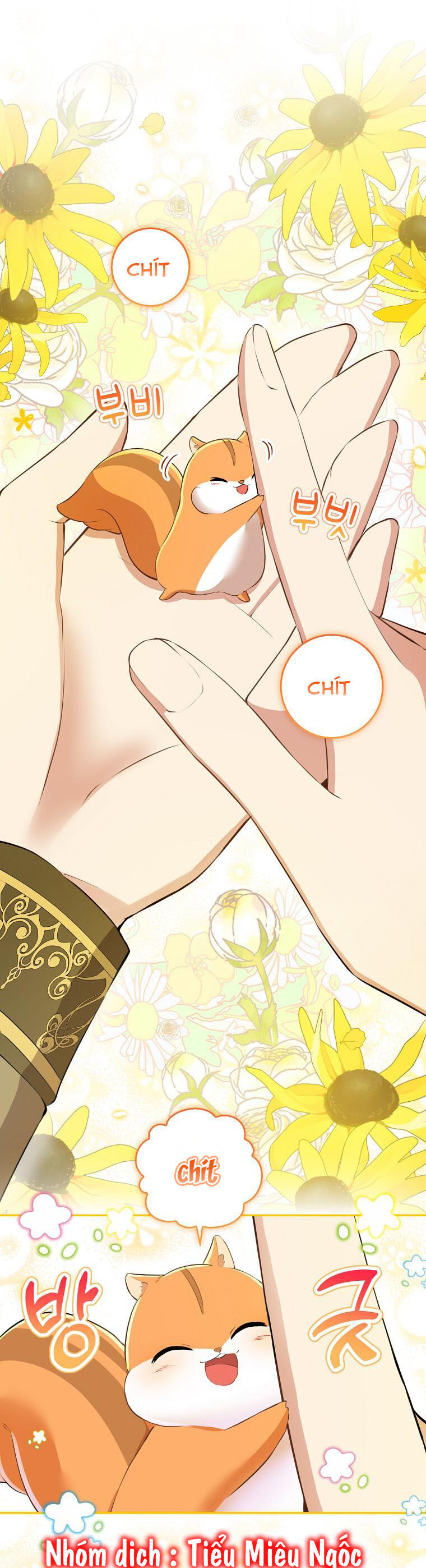 Sóc Con Tài Năng Chapter 43 - Trang 2