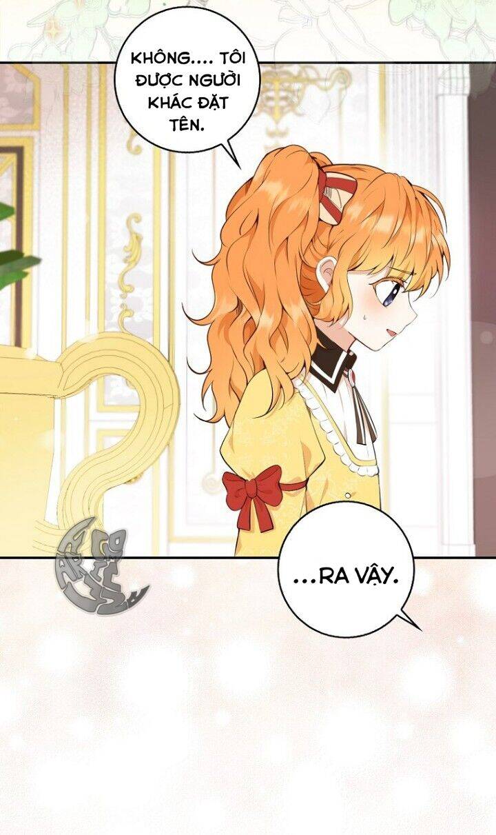 Sóc Con Tài Năng Chapter 5 - Trang 2