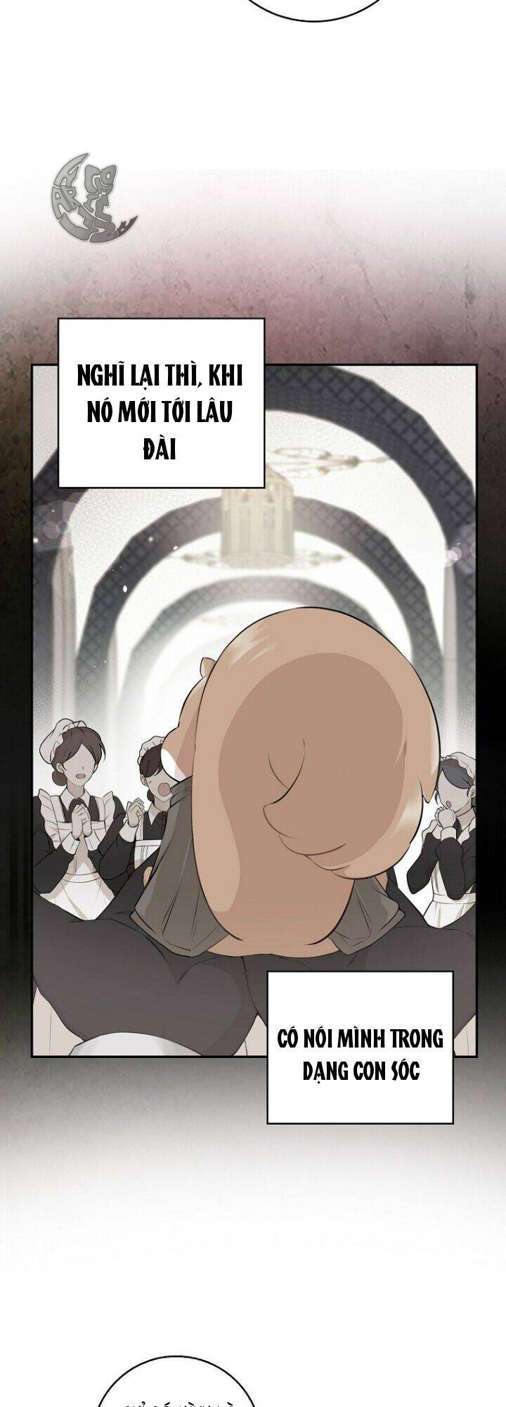 Sóc Con Tài Năng Chapter 5 - Trang 2