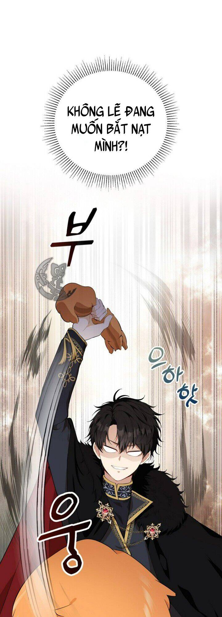 Sóc Con Tài Năng Chapter 5 - Trang 2